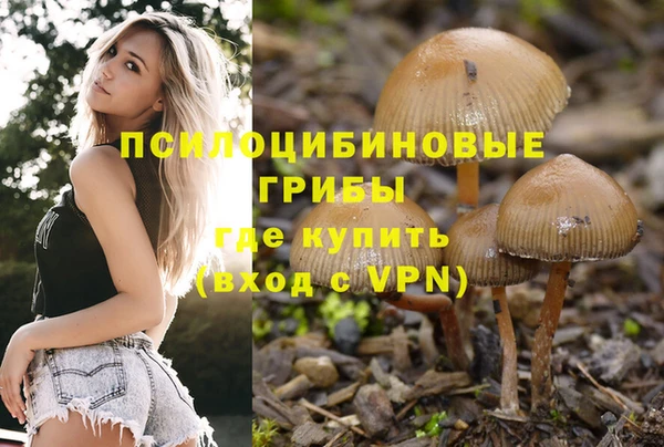 а пвп мука Армянск