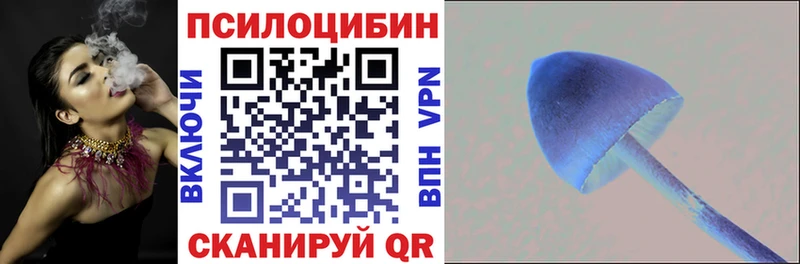 Псилоцибиновые грибы мицелий Купить Тосно